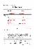 2페이지