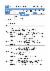 100페이지