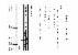 188페이지